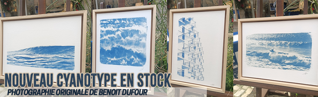 Cyanotypes de Benoit Dufour